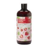 Sampon, Gel de Dus cu Capsuni si Aloe, - Family Bioearth, 500 ml