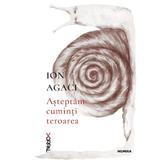 Asteptam cuminti teroarea - Ion Agaci, editura Nemira