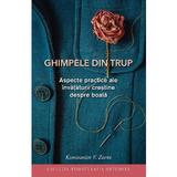 Ghimpele din trup. Aspecte practice ale invataturii crestine despre boala - Konstantin V. Zorin, Editura Sophia