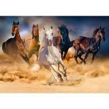 puzzle-1000-horses-running-in-the-desert-2.jpg