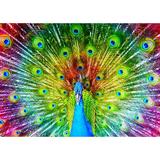puzzle-1000-colorful-peacock-2.jpg