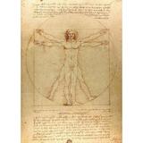 puzzle-1000-the-vitruvian-man-leonardo-da-vinci-2.jpg