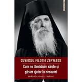 Cum ne tamaduim ranile si gasim ajutor in necazuri - Cuviosul Filotei Zervakos, Editura Sophia