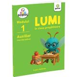 Lumi In Clasa Pregatitoare. Modulul 1 - Laura Andries