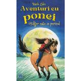 Aventuri cu ponei. Fulger este in pericol - Usch Luhn, editura Didactica Publishing House