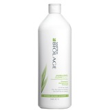 Sampon pentru Echilibrarea Scalpului - Matrix Biolage Normalizing Clean Reset Shampoo 1000 ml