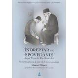 Indreptar de spovedanie dupa Vamile Vazduhului - Cezar Elisei, editura Revistei Timpul