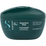 set-cadou-reconstructie-pentru-par-deteriorat-alfaparf-milano-semi-di-lino-reconstruction-holiday-kit-for-damaged-hair-sampon-250-ml-masca-200-ml-ser-de-stralucire-15-ml-1762771614323-1.jpg