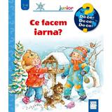 Ce facem iarna? - Andrea Erne, editura Casa