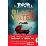 blackwater-vol-2-digul-michael-mcdowell-editura-litera-2.jpg