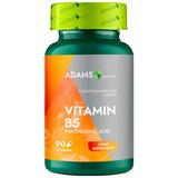 Vitamina B5 Acid Pantoteic - Adams Supplemenets, 90 capsule 
