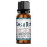 SHORT LIFE - Ulei Esential de Eucalipt Santo Raphael, 10 ml
