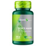 Lion`s Mane 500 mg - Adams Supplements 30% Polysaccharides Extract, 30 capsule