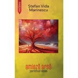 Amiaza arsa. Parched noon - Stefan Vida Marinescu, editura Ink Story