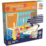 joc-educativ-descopera-corpul-uman-kit-steam-3.jpg