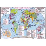 Plansa. Harta lumii A4, editura Colibri Kids