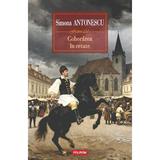 Coborarea in cetate - Simona Antonescu, editura Polirom