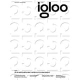 Igloo 229. Decembrie-ianuarie 2026. 25 de ani de arhitectura romaneasca contemporana, editura Igloo