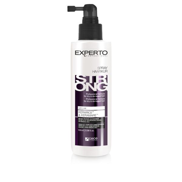 Spray de par Experto Professional Strong pentru intarirea si prevenirea caderii parului 100 ml cod 1243 Cece of sweden imagine noua