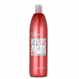 Crema Oxidanta 12% - Silky Color Care Oxygen Cream Peroxide 40 vol 1000ml